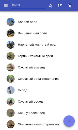 Предварительный просмотр приложения