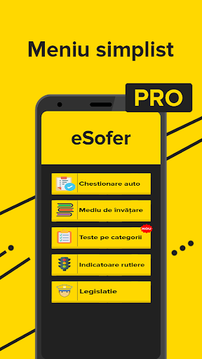 eSofer-Chestionare auto PRO