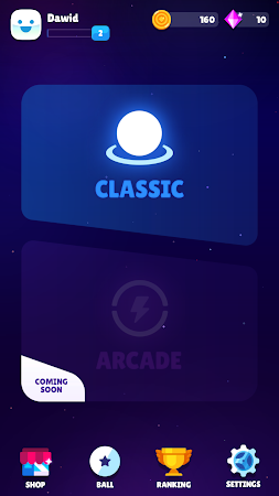 Game screenshot Bricks Masters mod apk