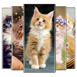 Icon image Cat Wallpapers