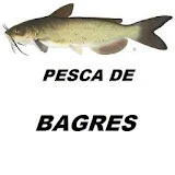 PESCA DE BAGRES icon