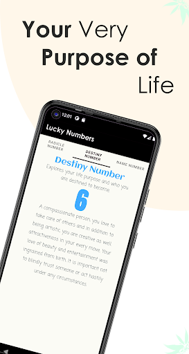 Magical Digits Screen 3