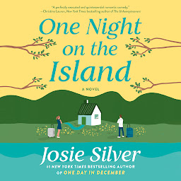 图标图片“One Night on the Island: A Novel”