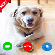 Top 50 Entertainment Apps Like Instant prank call video with cute Dog Labrador - Best Alternatives