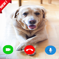 Instant prank call video with cute Dog Labrador