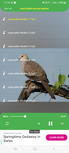 Android application Suara pikat burung tekukur screenshort