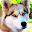Dog Info Download on Windows