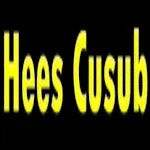 Cover Image of Télécharger Hees Cusub Hindi songs  APK
