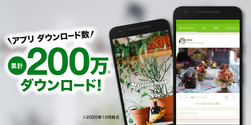 Greensnap 植物 花の名前が判る写真共有アプリ Google Play のアプリ