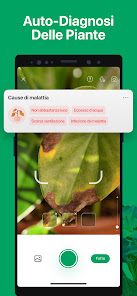 Immagine screenshot