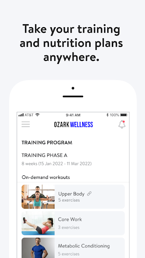 Screenshot of Ozark Wellness