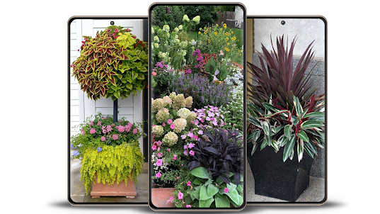 Various Flower Plants
