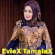 Lagu Evie TamalaX Dangdut MP3 - Androidアプリ
