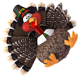 Chicken Invaders 4 Thanksgivin icon