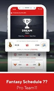 Dream Cricket Live Fantasy 11