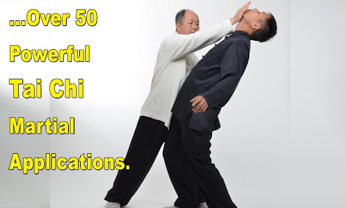 Imágen 13 Tai Chi Martial Applications android