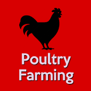Poultry Farming - Chicken Farm - Chicken Egg Farm