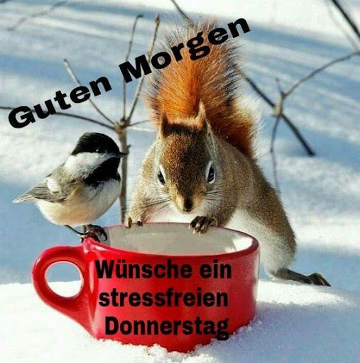 Guten Morgen Bilder GIF