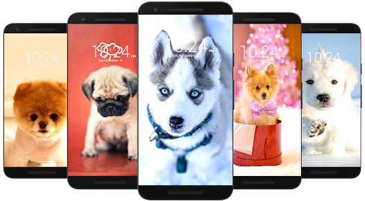 Dog Wallpaper HD android2mod screenshots 3