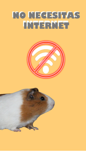 Hamsterapp Screen 3