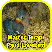 Master Terapi Paud Lovebird