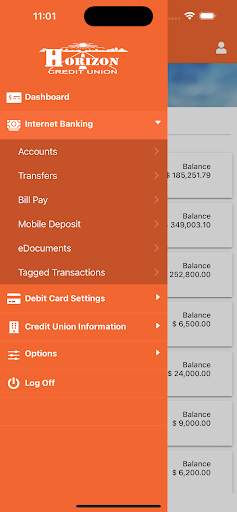 HCU Mobile Branch Screen 3