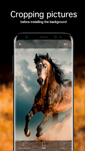 Screenshot of Horse Wallpapers 4K