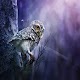 Owl Wallpapers HD دانلود در ویندوز