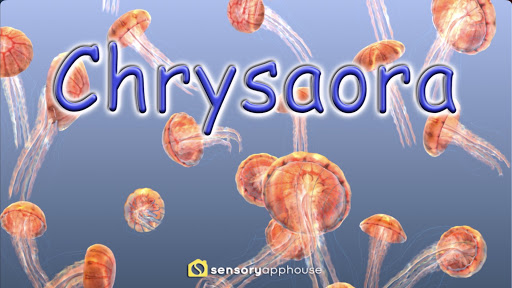 Android application Jellyfish Chrysaora screenshort