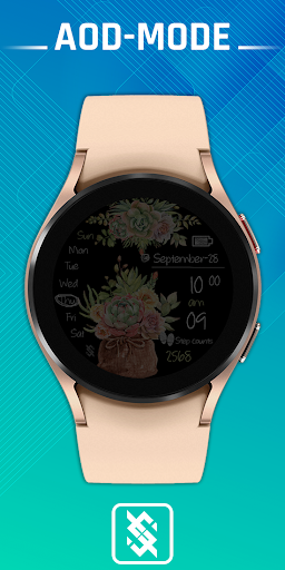BFF100- Blackboard Art Cactus Screen 2