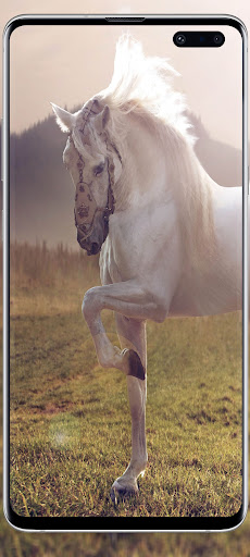 Horse love wallpapers Screen 2