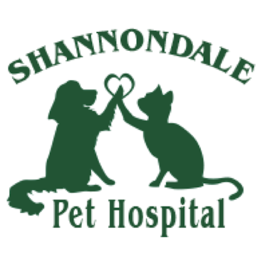 Shannondale PH logo