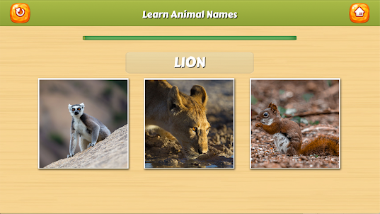 تعلم أسماء الحيوانات
