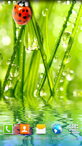 Macro Photos Live Wallpaper Screen 2