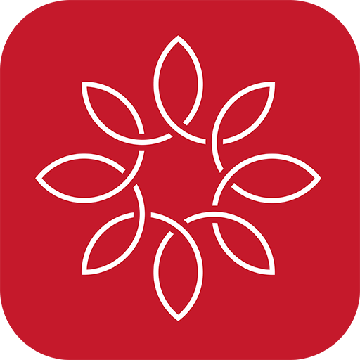 WiT365 logo