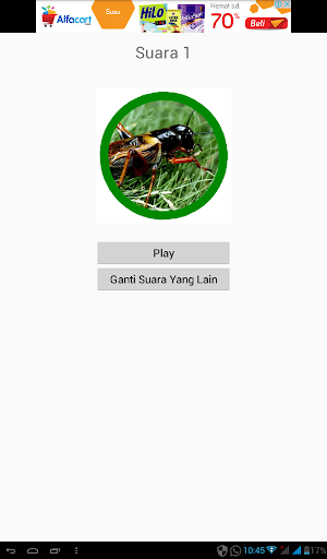 Kumpulan Suara Jangkrik Screen 3