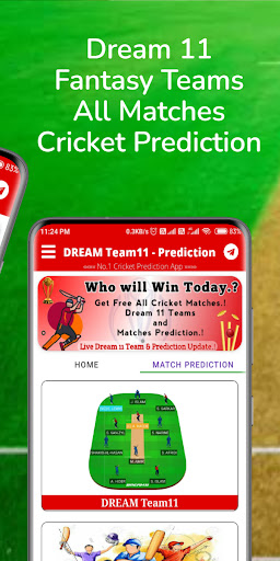 Dream Team 11- Cric Prediction