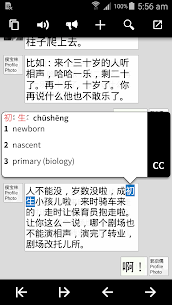 Pleco Chinese Dictionary for PC 4