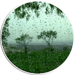 Cover Image of Tải xuống Rain Video Live Wallpaper  APK