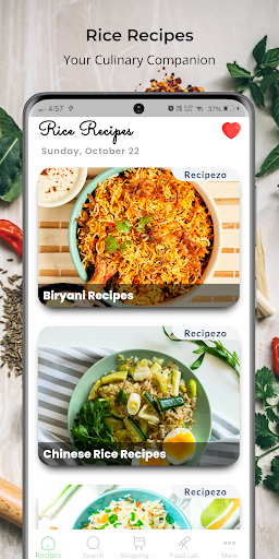 Rice Recipes Screen 3