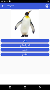 صورة لقطة الشاشة