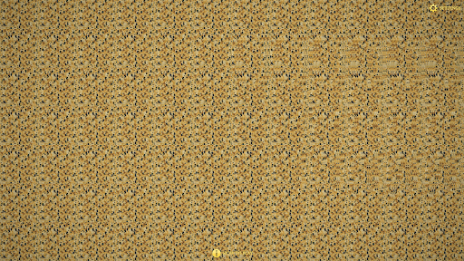 Stereogram Game Choppy Doge AI