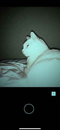 DAZZL CAM Screen 2