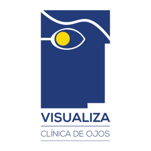 Visualiza logo