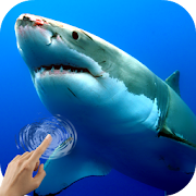 Sharks Underwater  Icon