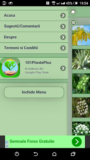 101Plante Screen 2