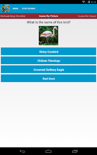 South American Birds Free