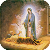 La Hermosa Virgen Imagenes icon