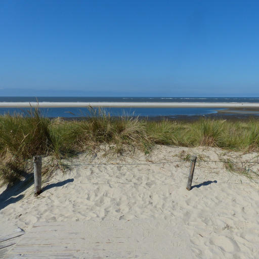 Logo Langeoog App Für Den Urlaub