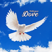 Latest Dove Wallpaper